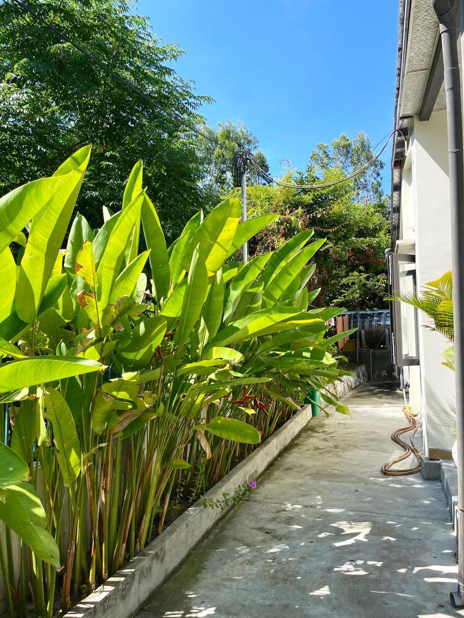 Crest House Beachside - Three-Bedroom Private House On Cham Island Hoi An Tân Hiệ Buitenkant foto